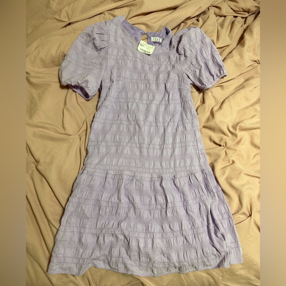 Impeccable Pig Lavender Dress